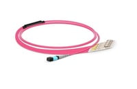 MTP® Female to 4 LC UPC Duplex 8 Fibers Type B Plenum (OFNP) OM4 50/125 Multimode Elite Breakout Cable, Magenta