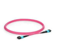 MTP® PRO-12 (Male) to MTP® PRO-12 (Male) OM4 Multimode Elite Trunk Cable, 12 Fibers, Type B, Plenum (OFNP), Magenta