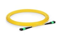 MTP®-12 (Female) to MTP®-12 (Female) OS2 Single Mode Elite Trunk Cable