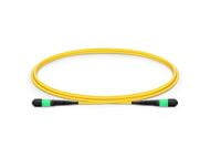 MTP®-12 (Female) to MTP®-12 (Female) OS2 Single Mode Elite Trunk Cable, 12 Fibers, Type B, Plenum (OFNP), Yellow