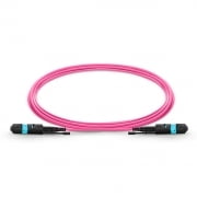 MTP®-12 (Female) to MTP®-12 (Female) OM4 Multimode Elite Trunk Cable, 12 Fibers, Type B, Plenum (OFNP), Magenta