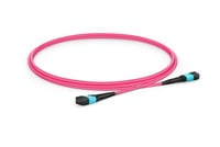 MTP®-16 APC (Female) to MTP®-16 APC (Female) OM4 Multimode Elite Trunk Cable, 16 Fibers, Plenum (OFNP), Magenta, for 400G Network Connection