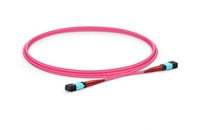 MTP®- 24 (Female) to MTP®- 24 (Female) OM4 Multimode Elite Trunk Cable, 24 Fibers, Type A, Plenum (OFNP), Magenta